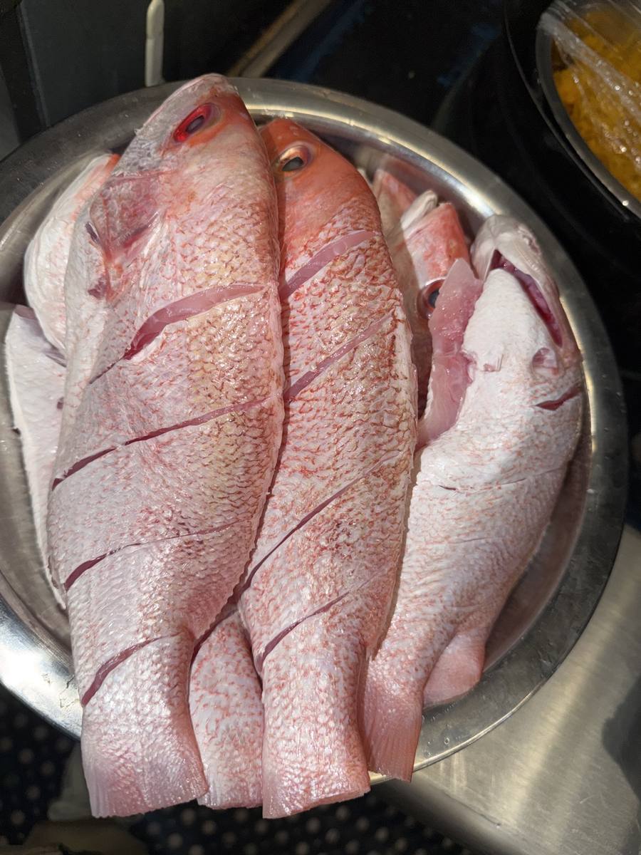 Whole fresh red snapper