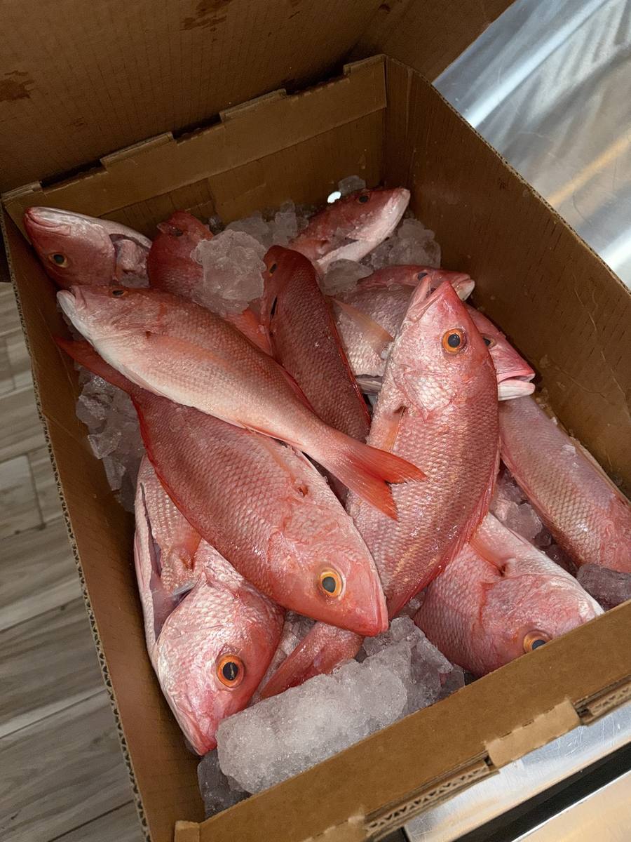 Fresh red snapper in the market box